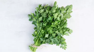 garnishing-instructions-image